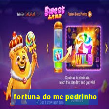 fortuna do mc pedrinho